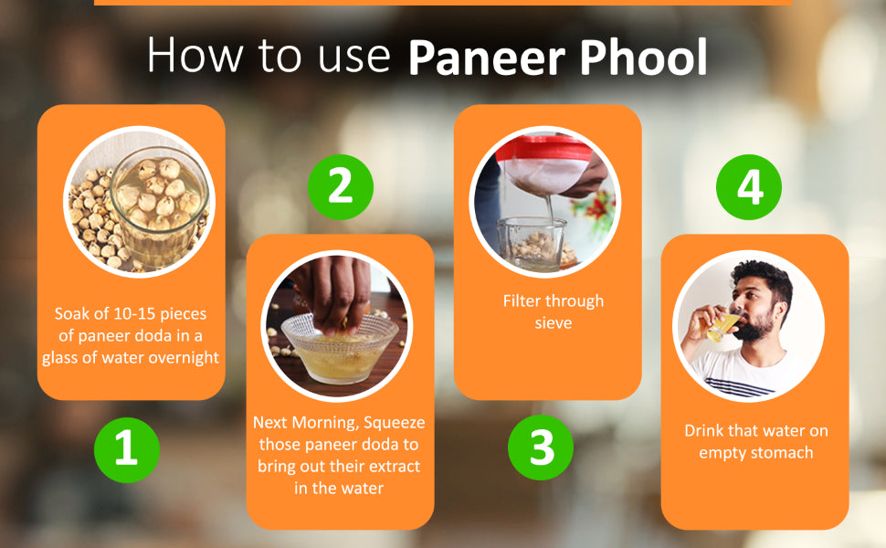 Attar Ayurveda Paneer Phool for Diabetes (400 grams) | Paneer Doda | Paneer Dodi | Withania Coagulans | Pure and Natural | No preservatives